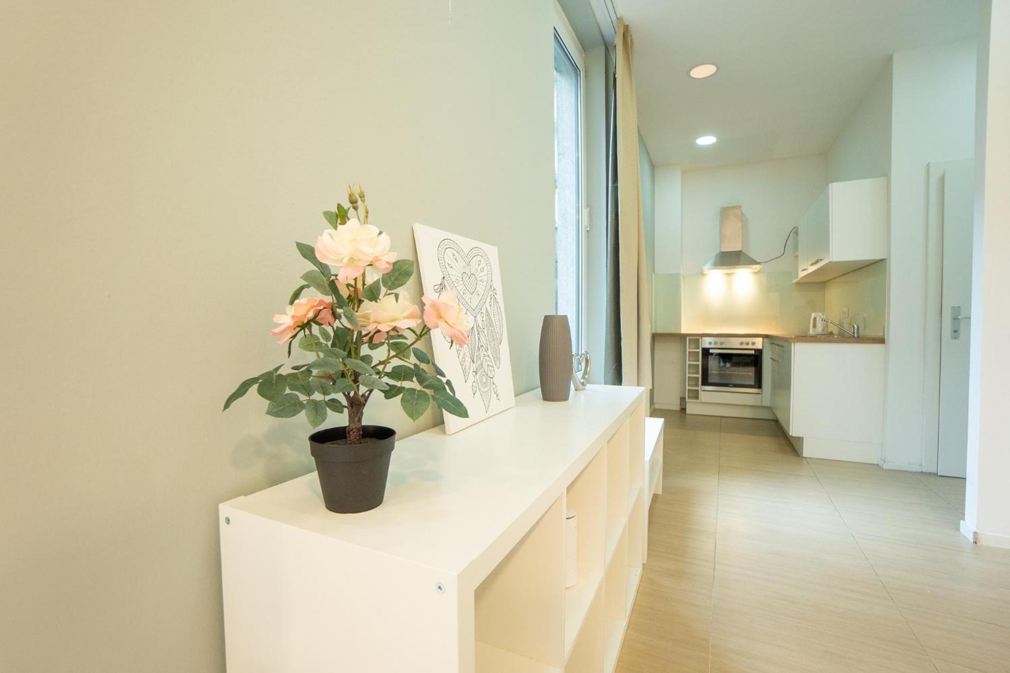 Apartment Comfort With Queen-size Bed, Self Check-in Vienna